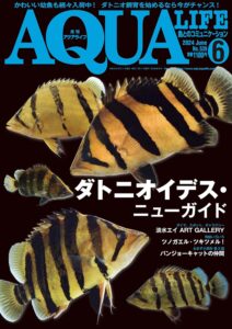 月刊アクアライフ 2003年1月No.282 スタンダダニオ・アクセルロディ ビーシュリンプ アリゲーター・ガー 水草水槽 AQUA LIFE
